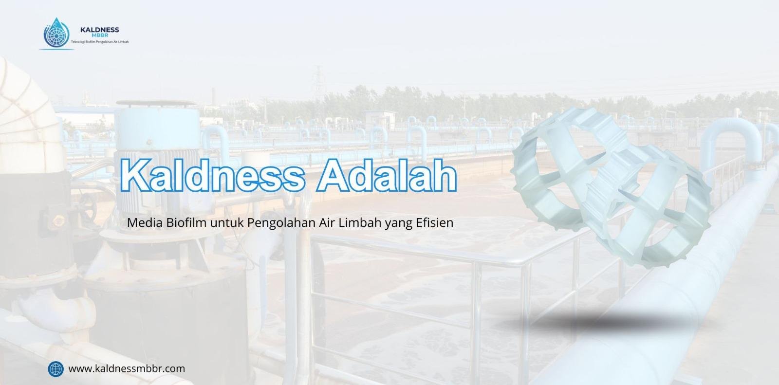 Kaldness Adalah